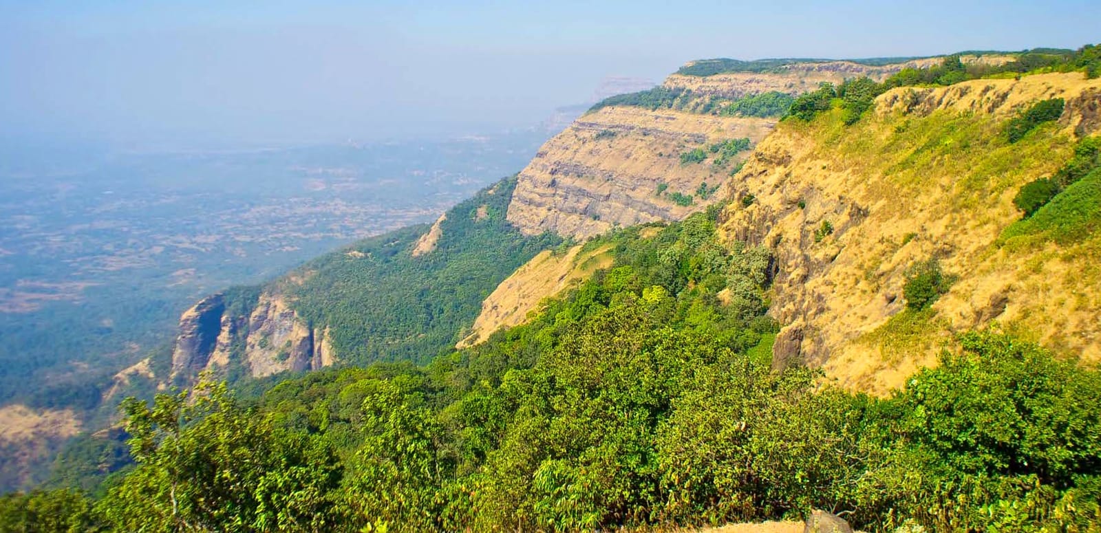 BHIMASHANKAR Forest Birding 